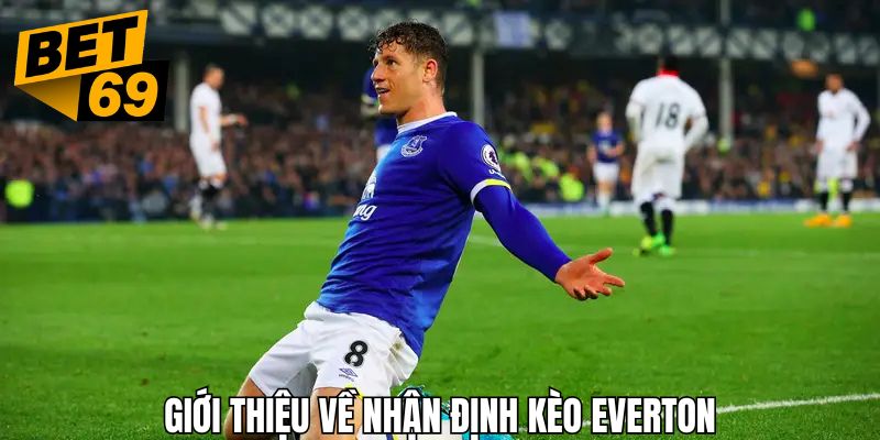 Giới thiệu khái quát về Everton cùng các đánh giá và nhận xét