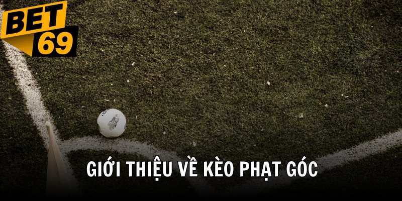 Bạn phải chú ý đến phong độ của đội bóng khi nhận định